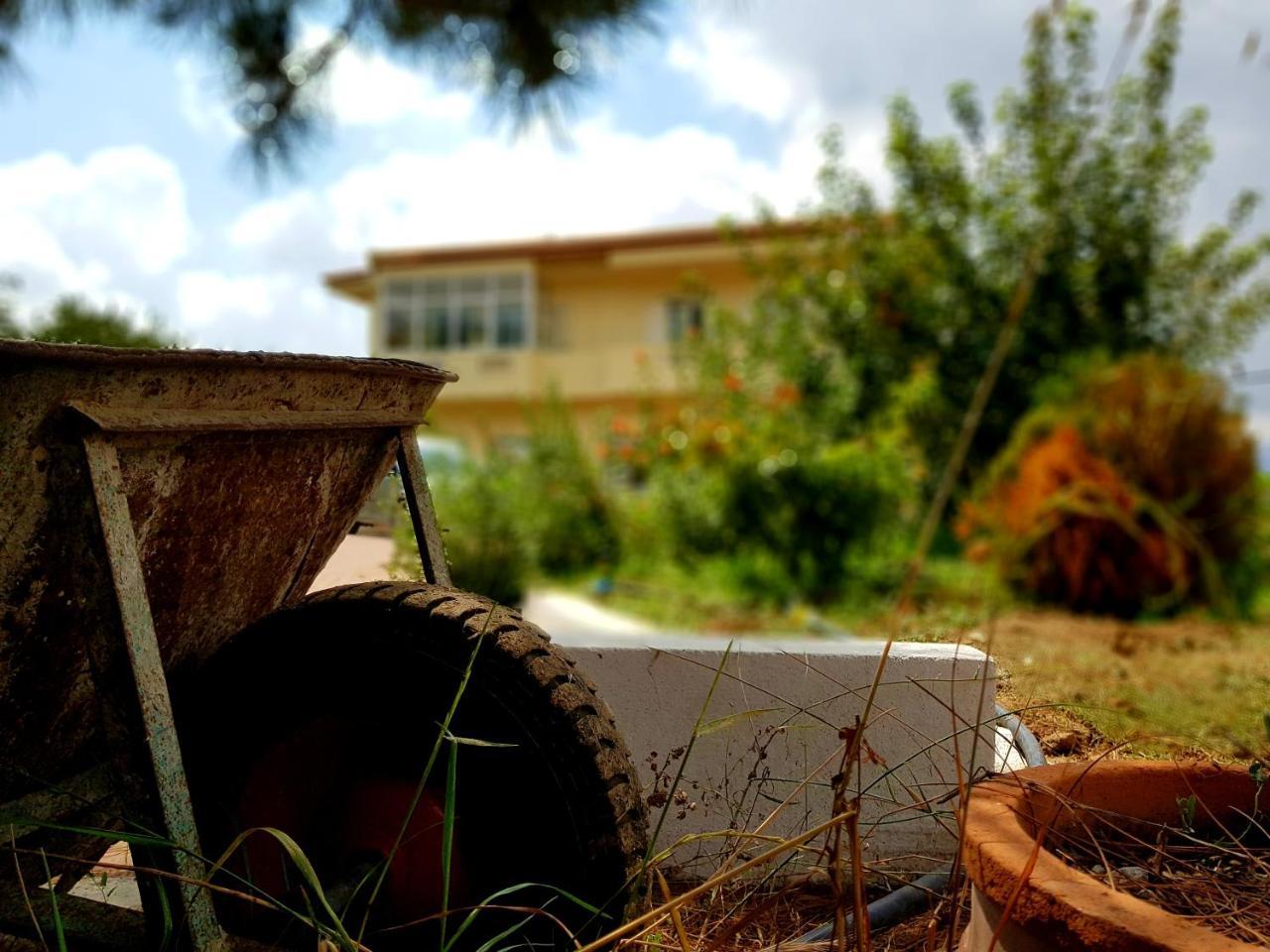 Maison Kronio Lassithi Plateau Marmaketon エクステリア 写真